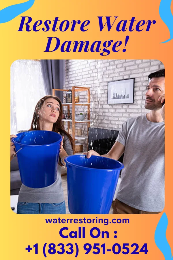 water restoration Direct Drying Specialists Lake Bluff