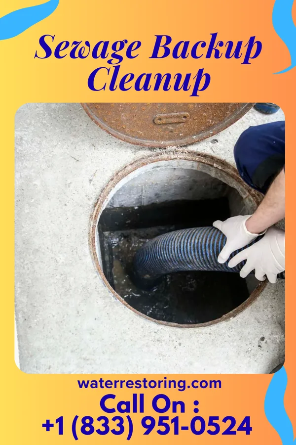Sewage Backup Cleanup in Lake Bluff, IL